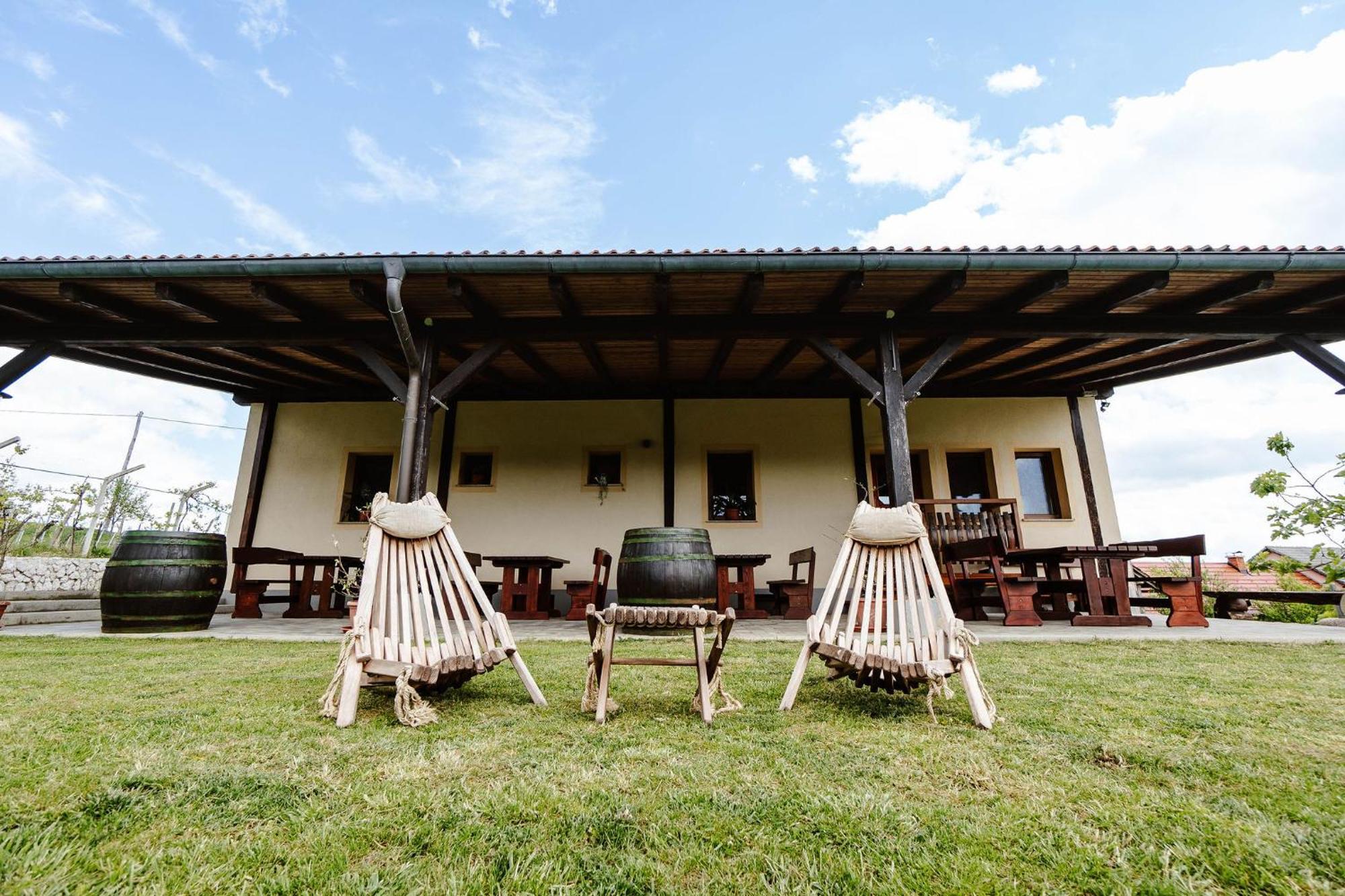 Zelena Oaza - B&B Miklavz pri Ormozu Exterior foto